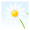 Bee Happy Events