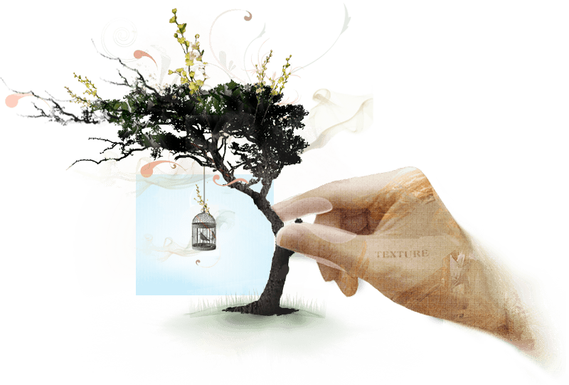 Web Design Creative Tree